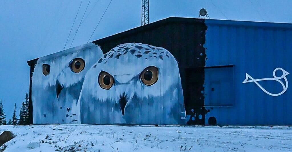 I love this mural at the Churchill Northern Studies Centre