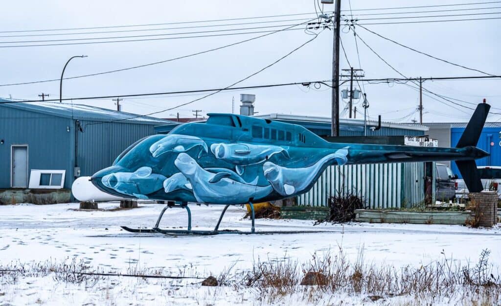 What a beautiful helicopter in Churchill painted with beluga whales