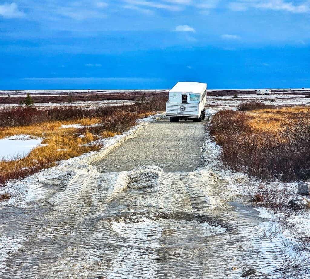 You are not allowed to stand in the tundra buggy when it's moving