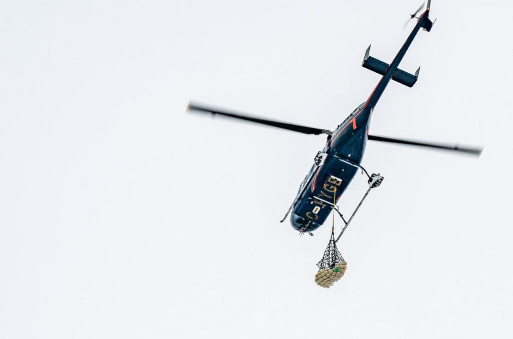 Up, up and away with a problem polar bear from Churchill, Manitoba