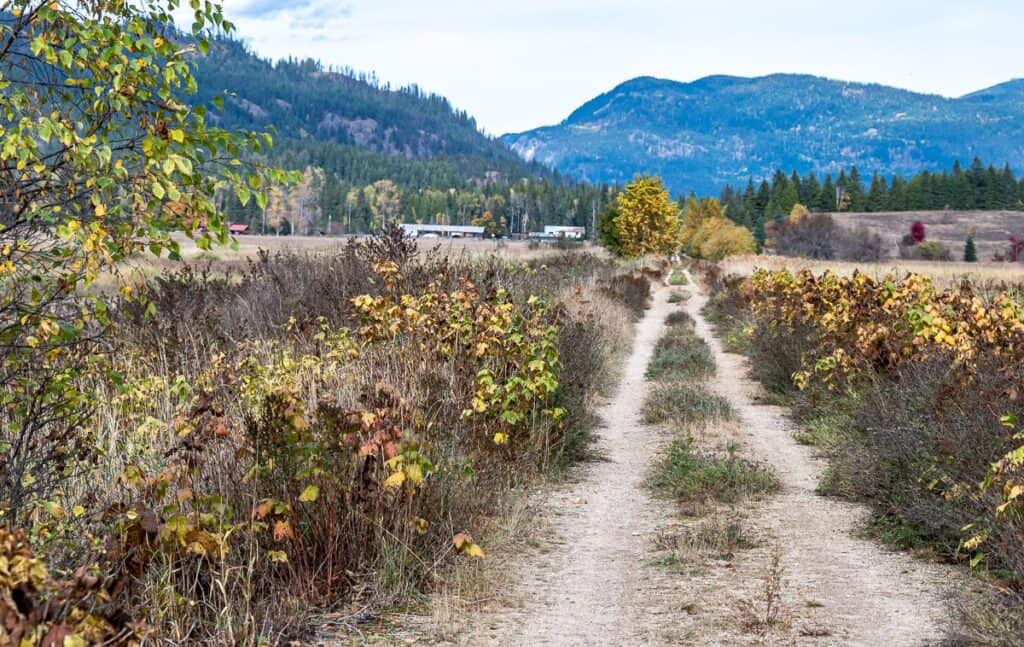 A section of the Slocan Valley bike trail between Winlaw and Lemon Creek