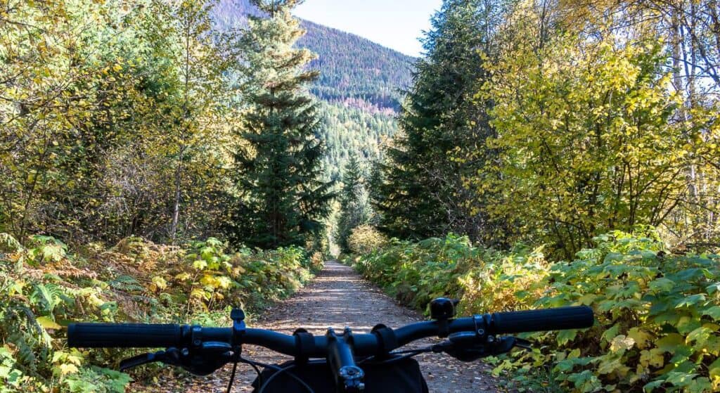 Dense woods in sections near Slocan