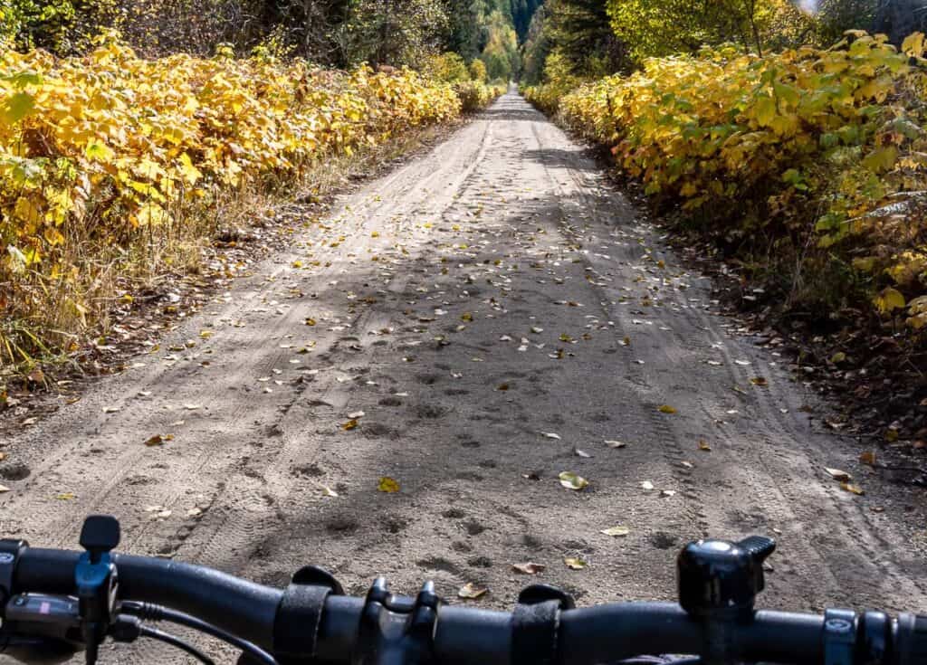 There were some sections with a lot of sand on the Slocan Valley Rail Trail