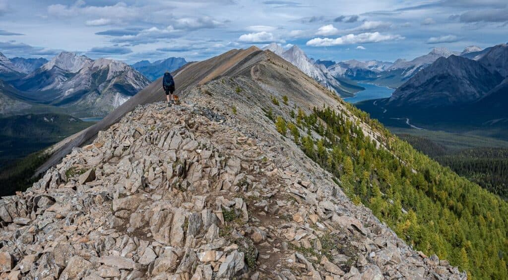 Enjoy superlative views for most of the Tent Ridge Horseshoe hike