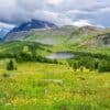 The view from Healy Pass