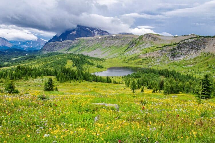 The view from Healy Pass