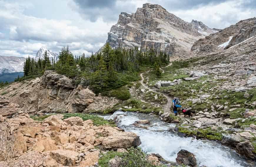 The last major creek to cross on the hike to the Fish Lakes Campground in Banff