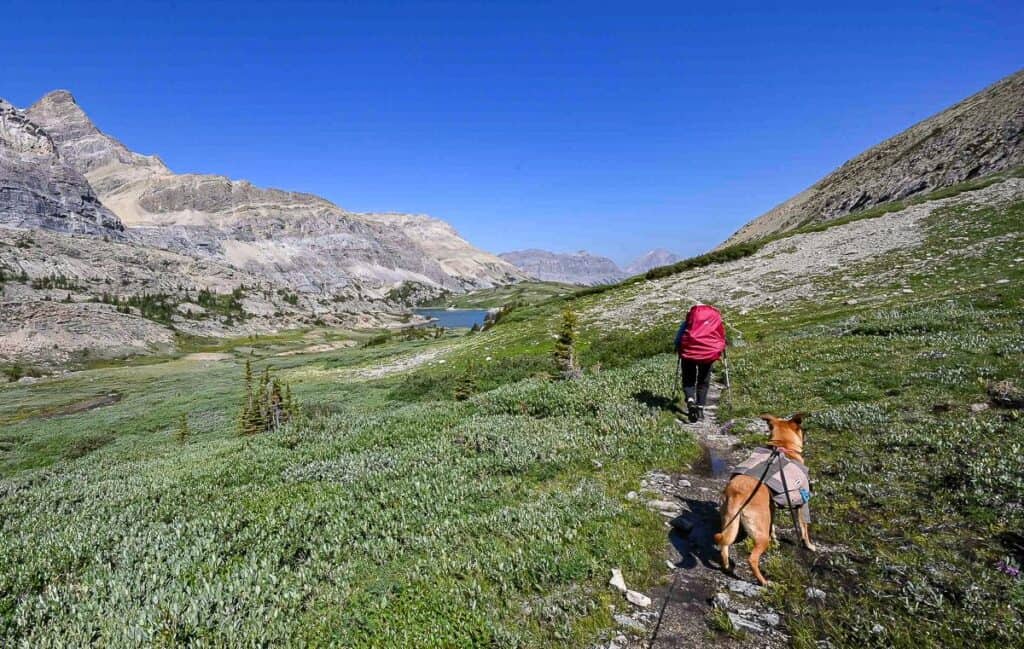 One of the challenging backpacking trips in Banff takes you over Pulsatilla Pass  