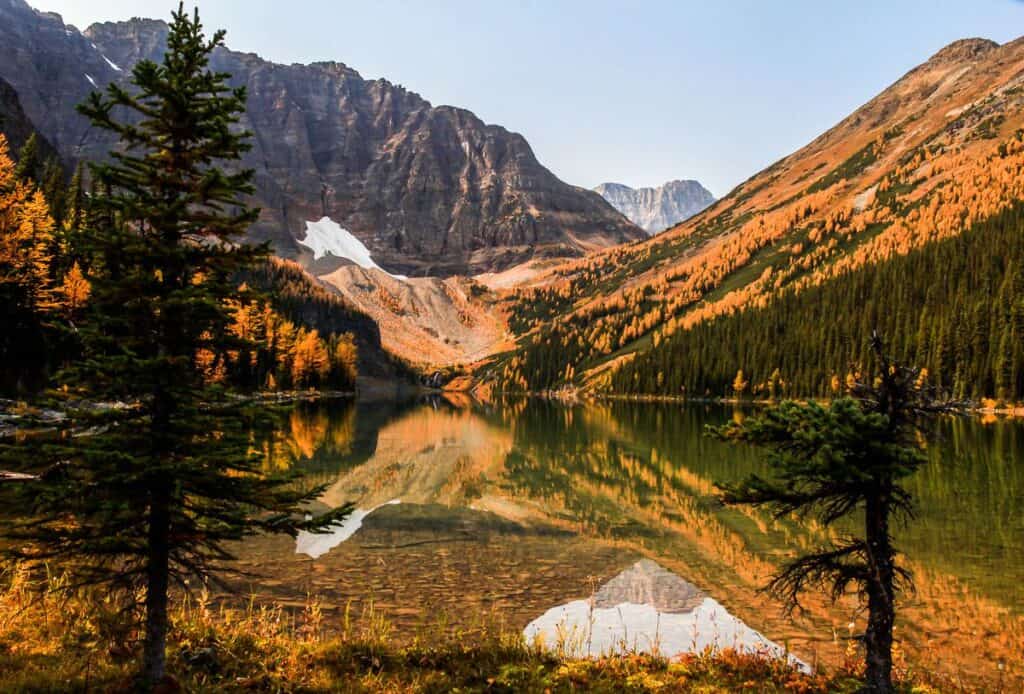 Taylor Lake is particularly beautiful the last two weeks of September so its one of the prime backpacking trips in Banff in fall