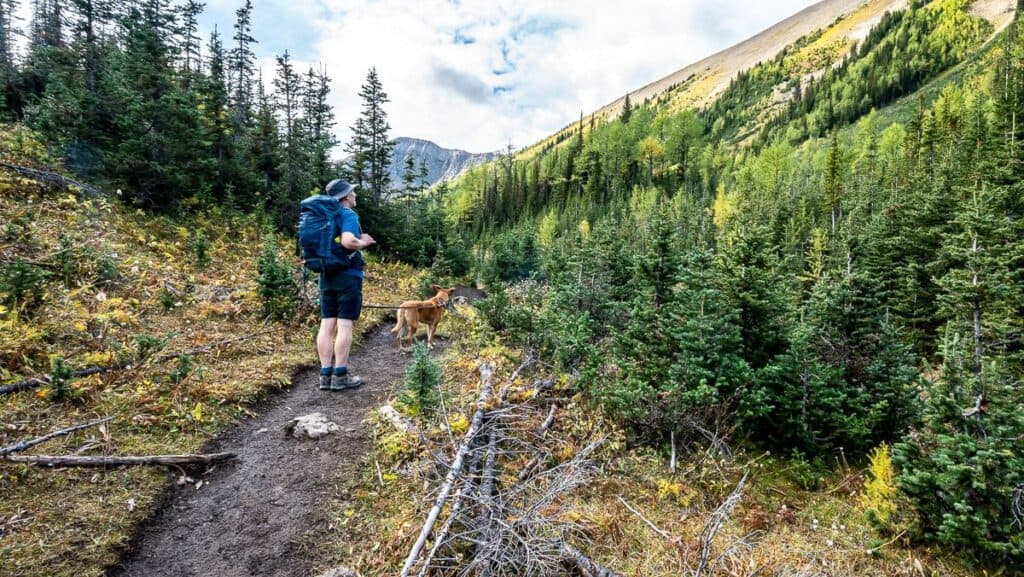 Near the 45-minute mark the trail starts to open up