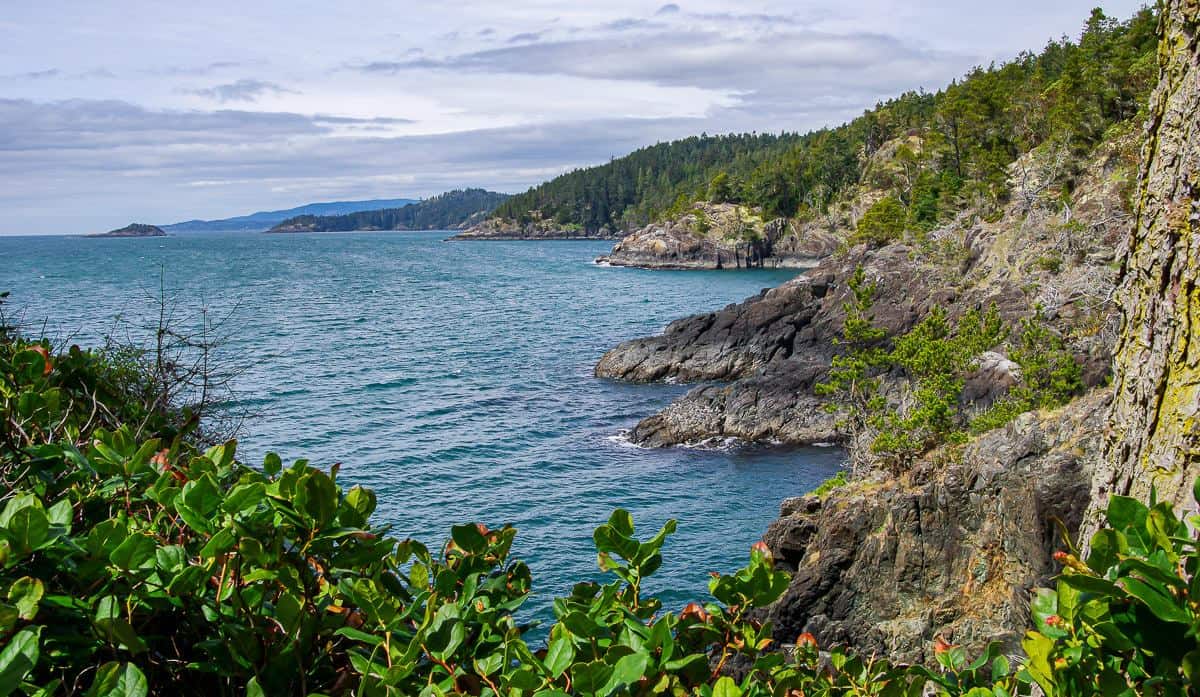 The Coast Trail in East Sooke Regional Park is very rugged