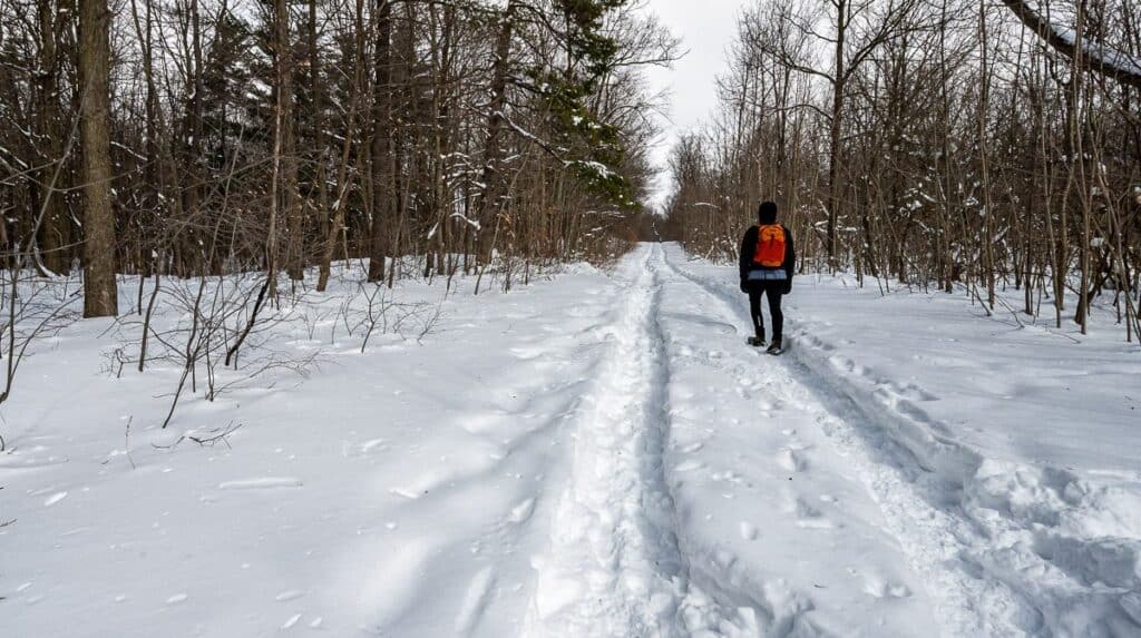 One of the pleasant and easy winter hikes in Ontario is the North Loop in  the Mount Nemo Conservation Area