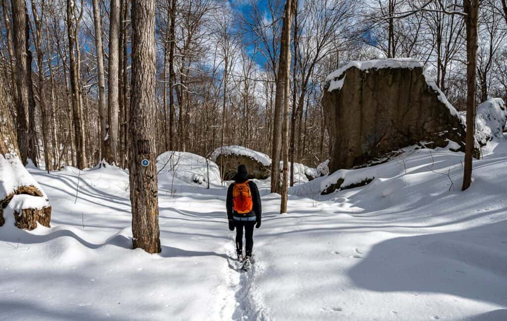 Glorious hiking on the Main Loop trail in Niagara Glen - one of the top winter hikes in Ontario