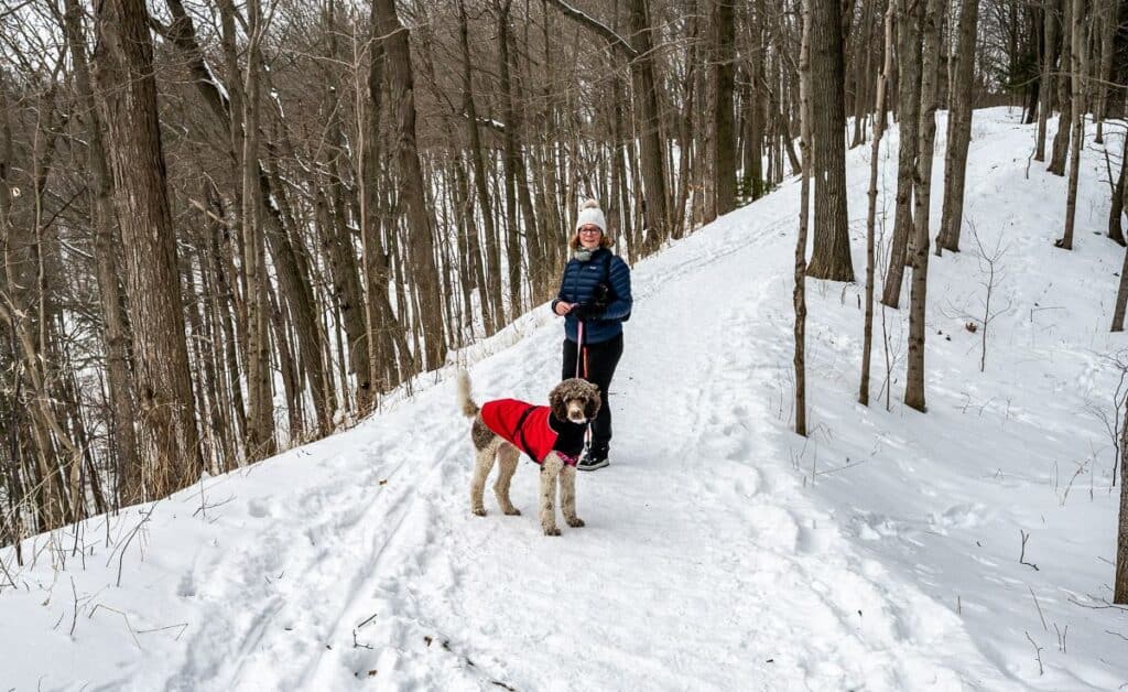 Peaceful winter hiking on the Vista Trail in Rouge National Urban Park