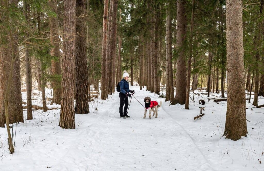 My sister-in-law and dog Betty on a tree-lined trail in Rouge National Park