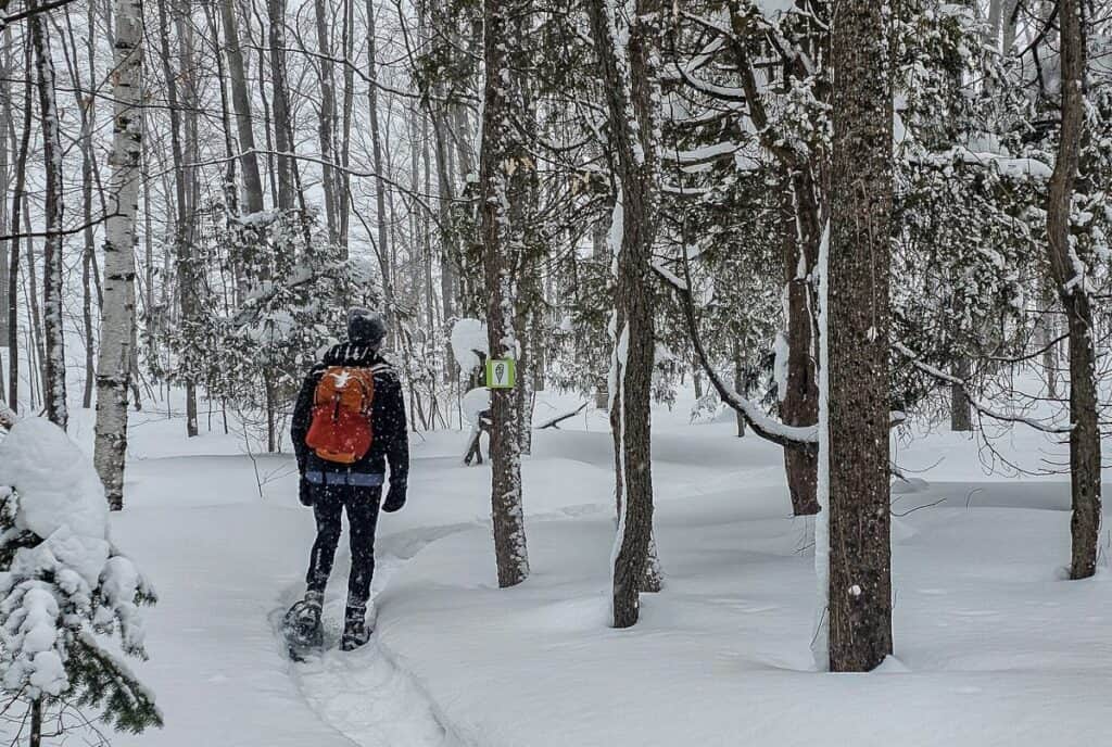 There are about 12 km of beautiful well-signed snowshoe trails at Scenic Caves Natural Adventures