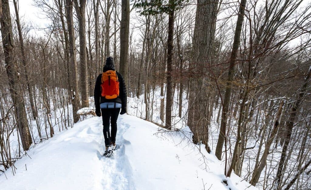 Delightful ridge walking on the Black Walnut trail in Short Hills Provincial Park