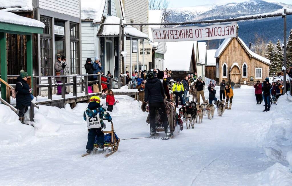 Fun to see the sleds being cheered onto the finishing line in Barkerville