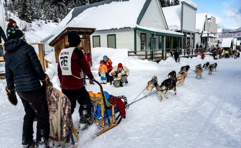 Racing into Barkerville on dog sleds as part of the 33rd annual Gold Rush Trail Sled Dog Mail Run