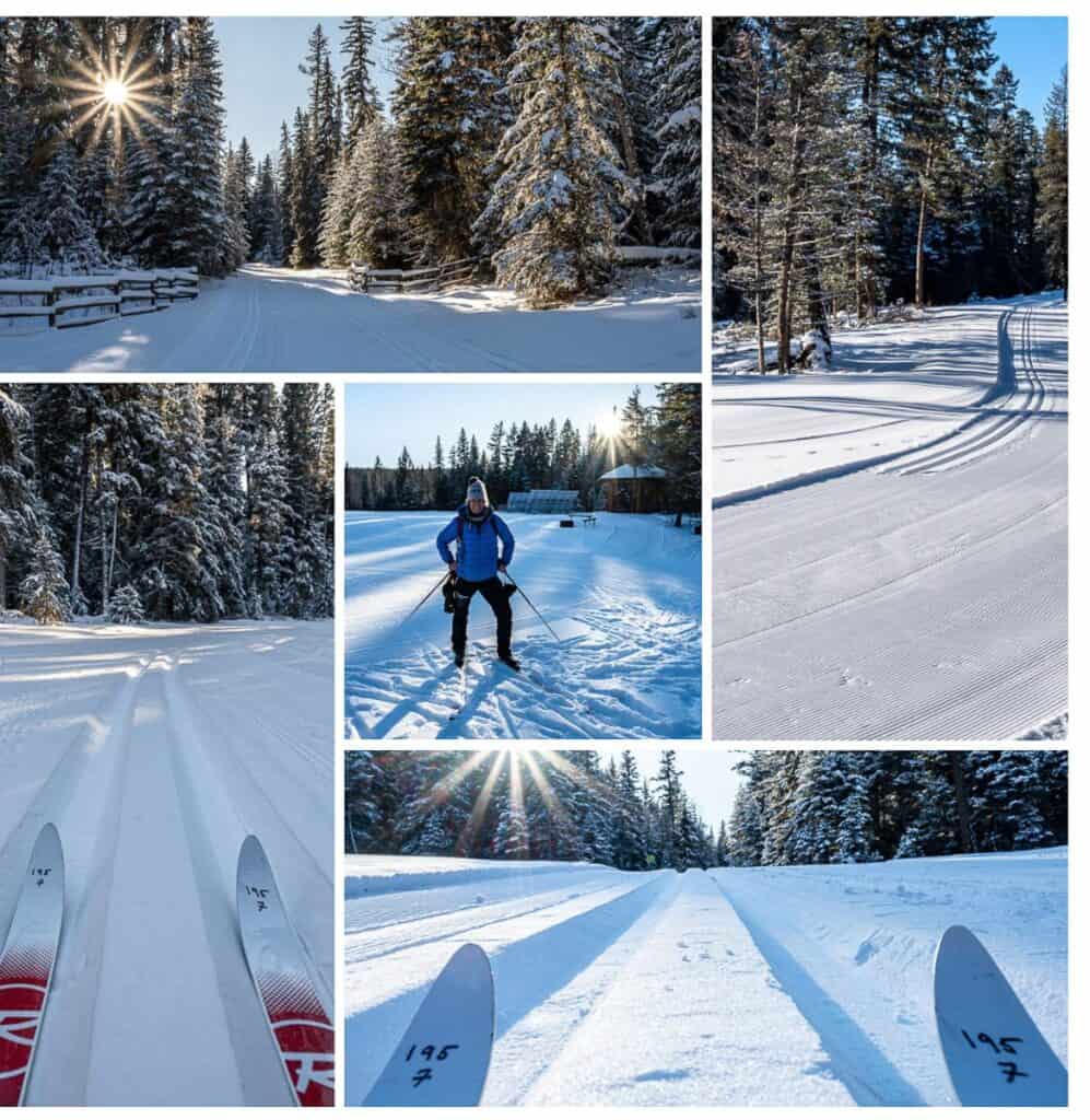 Scenes from cross-country skiing at Bull Mountain near Williams Lake, BC