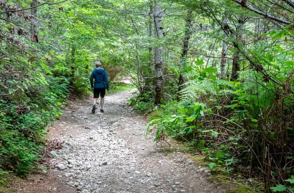 Descend through the forest on a slightly rougher trail