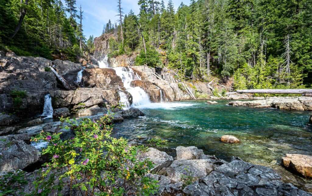 It is clear that some people swim in the swimming hole from the current, but it is a bloody cold