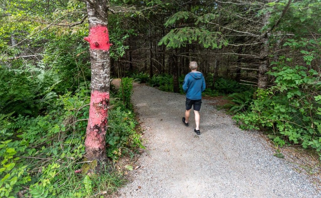 Take this unsigned trail after crossing Highway 4 to the Hole in the Wall