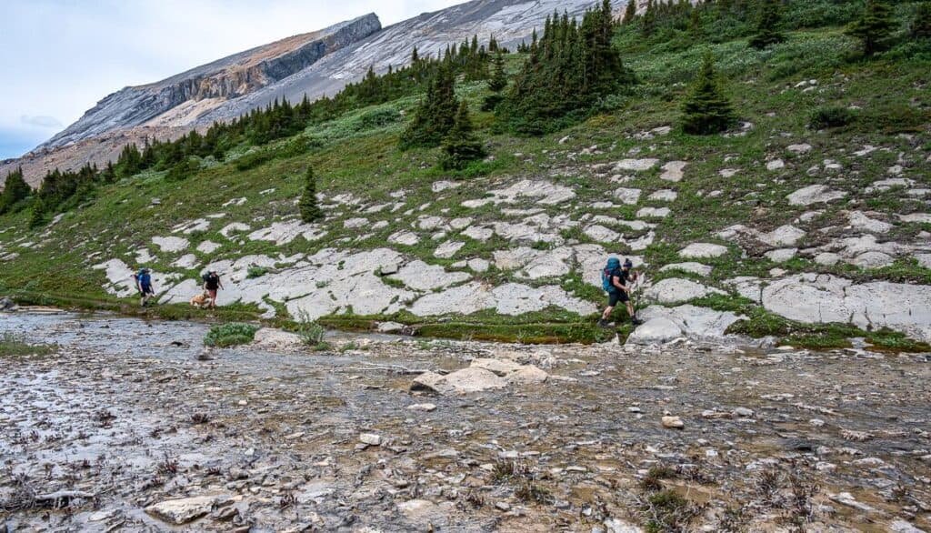 You'll need to rock hop across the shallow river somewhere around here 