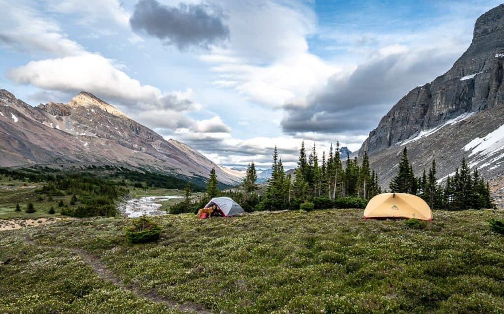Our campsite in the White Goat Wilderness Area - and in hindsight we could have brought a tarp and set it up near the trees