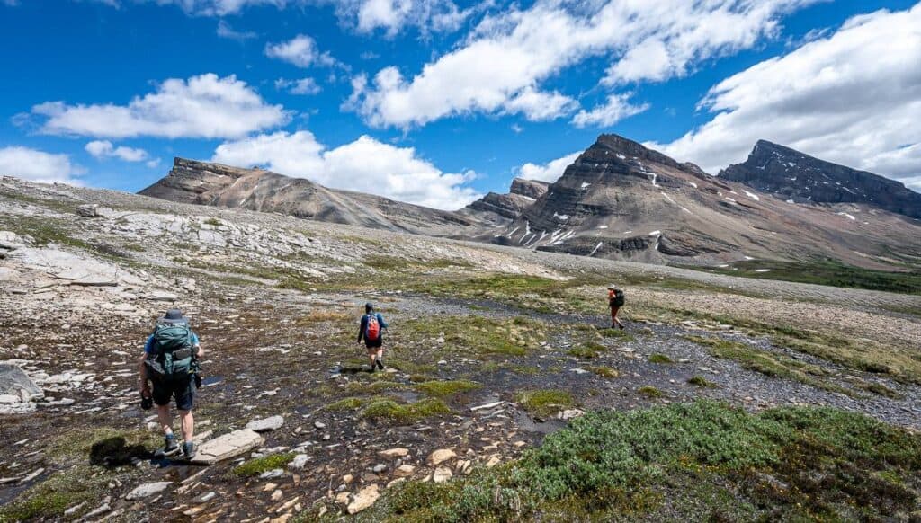 Cataract Pass 41rs