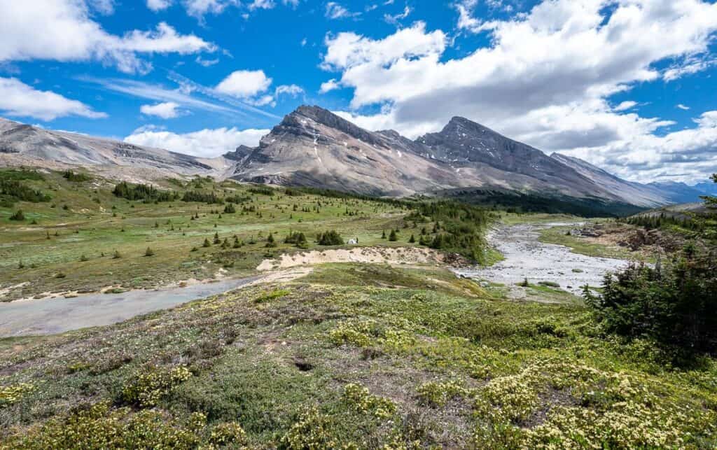 Cataract Pass 45rs