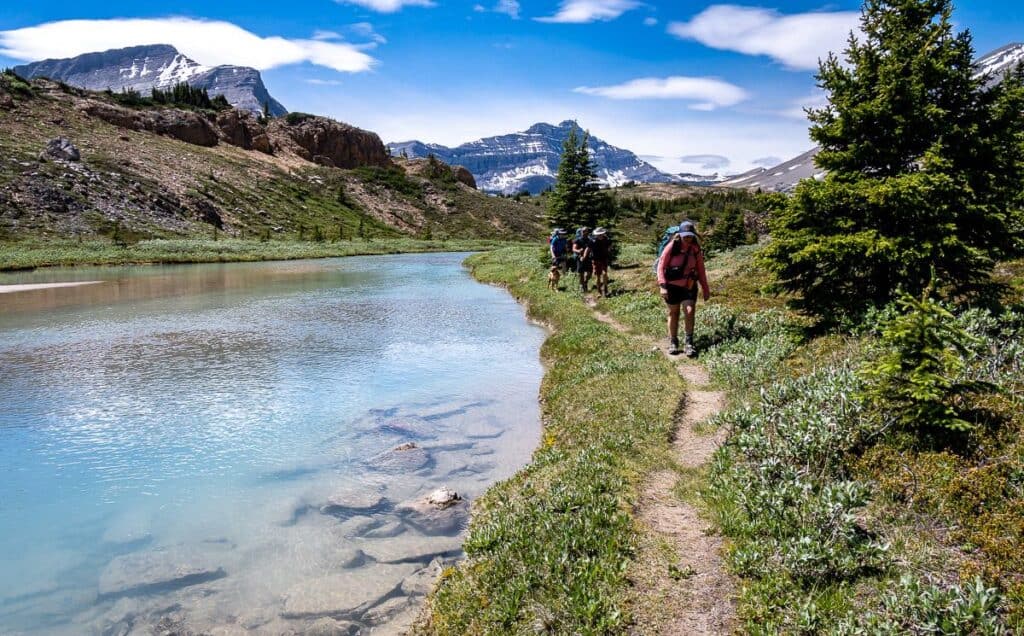 Lovely easy hiking beside the Brazeau River