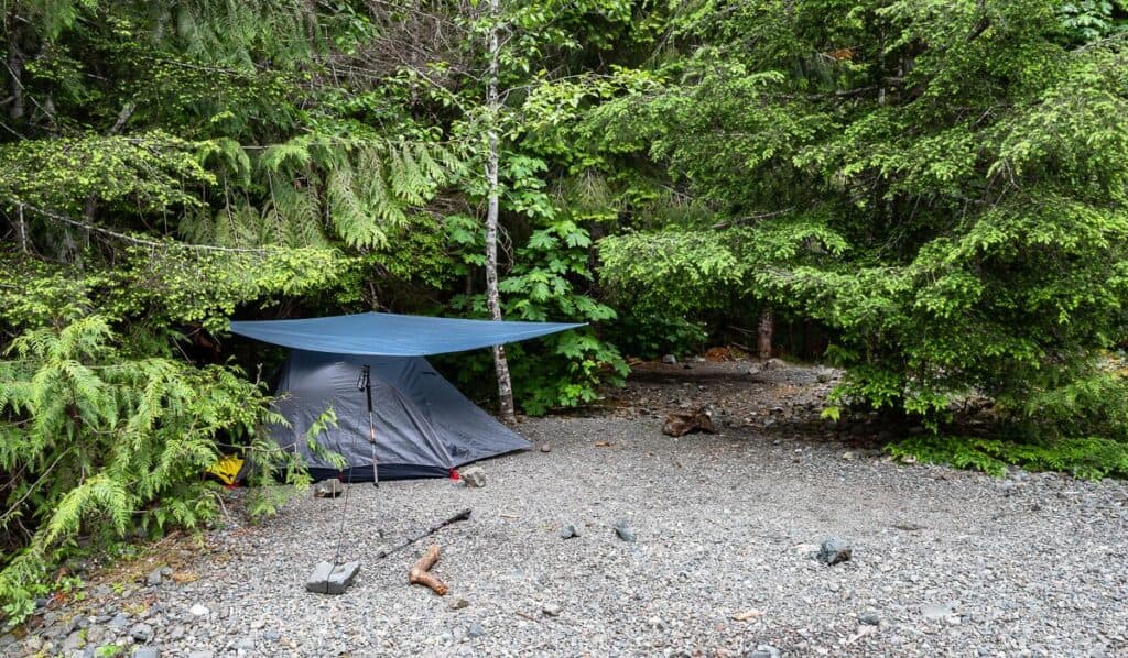 Camping under the trees in Buttlewort Creek campground