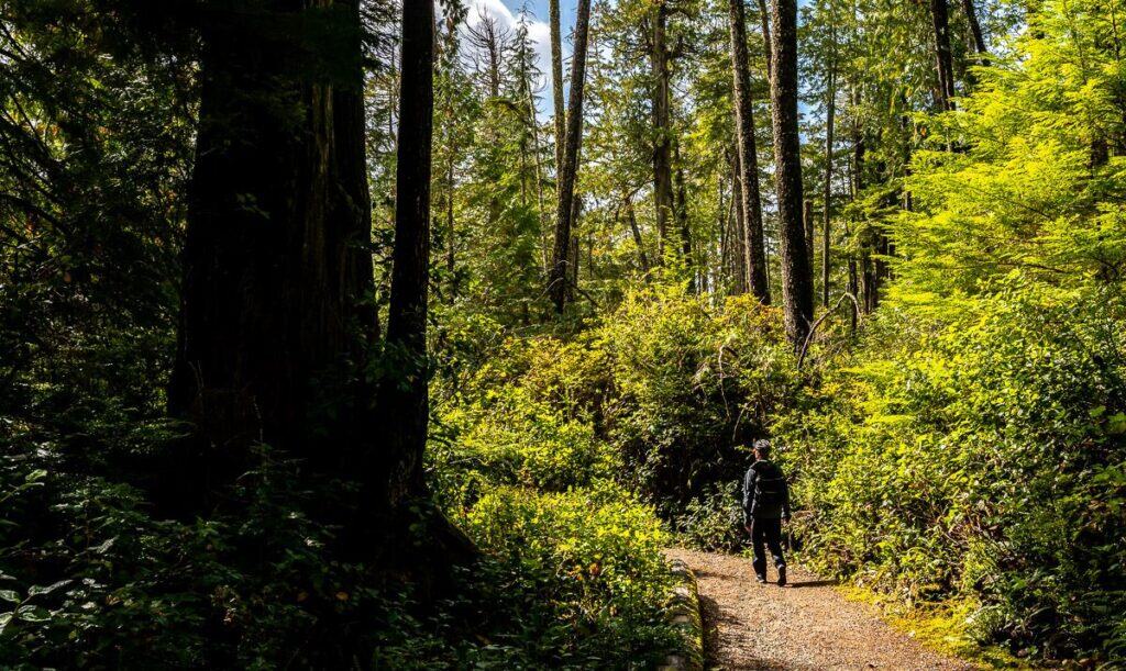 10 BEST Tofino Hikes | Hike Bike Travel One of the Tofino area hikes that will leave you feeling a sense of awe