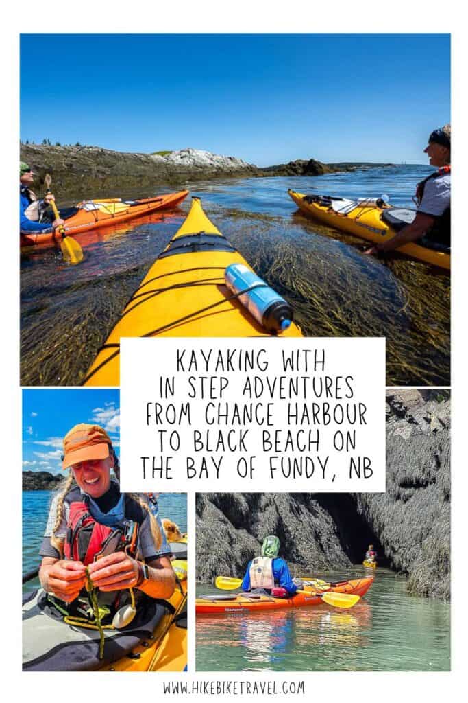 Kayaking with In Step Adventures from Chance Harbour to Black Beach along the Bay of Fundy