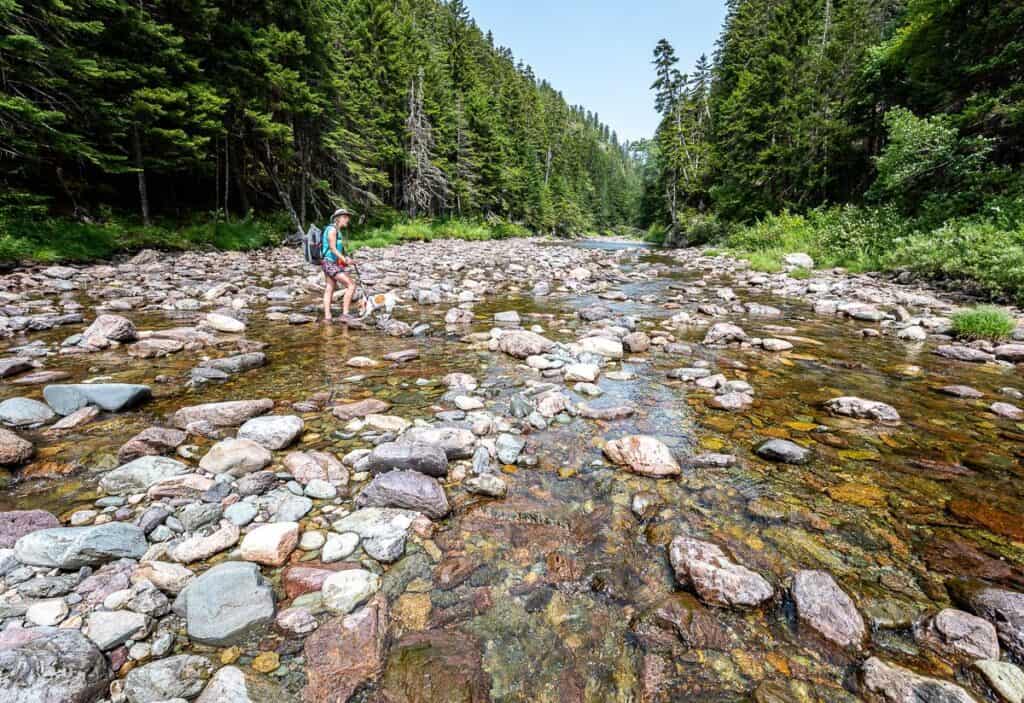 The water is lower than normal