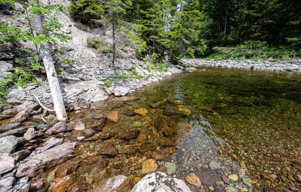 The intersection where we leave the Little Salmon River to follow Walton Glen Brook