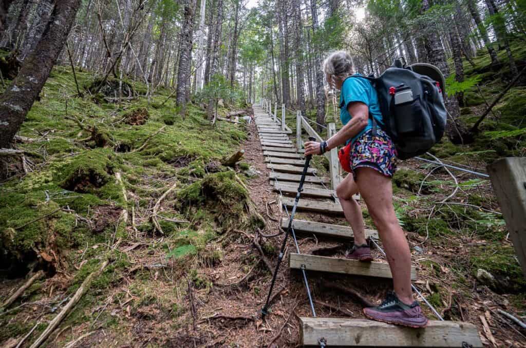 Marguerite on the final stair climb out of Walton Glen Gorge