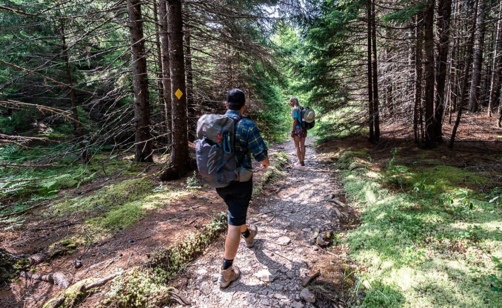 Hiking the McCumber Brook Trail down to the Fundy Footpath