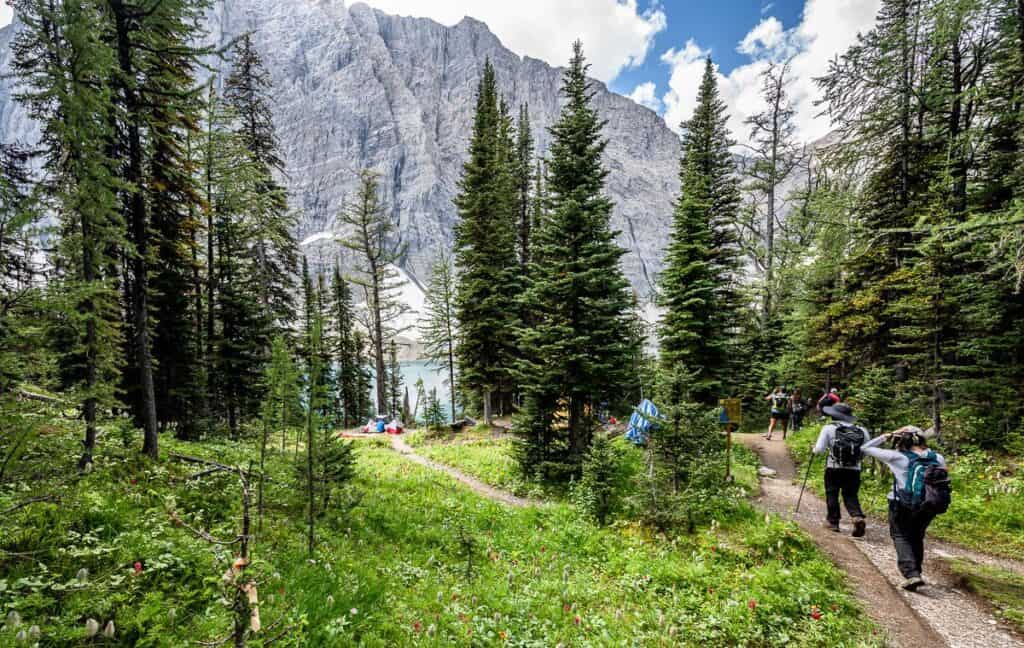 Almost at Floe Lake in Kootenay National Park