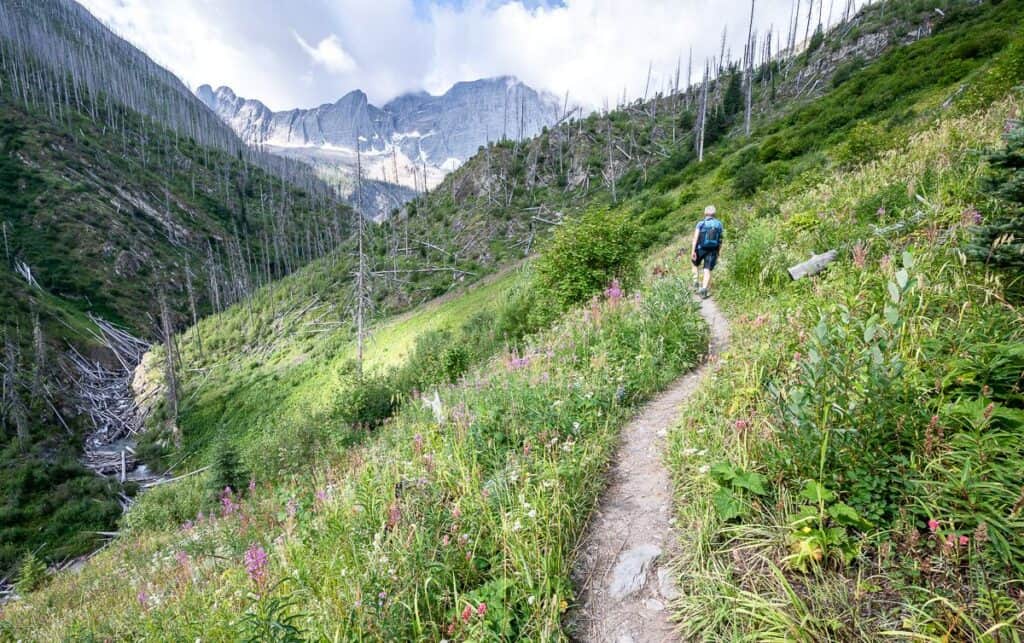 It's a steady climb through a burned area but the wildflowers are outstanding