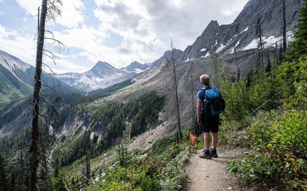 The trail to Floe Lake starts to steepen around here