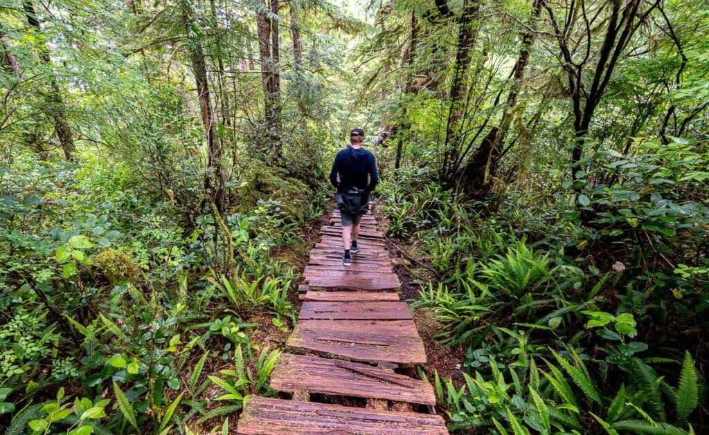 10 BEST Tofino Hikes | Hike Bike Travel It's an uneven, rough-hewn cedar logs makes for tricky hiking for some people