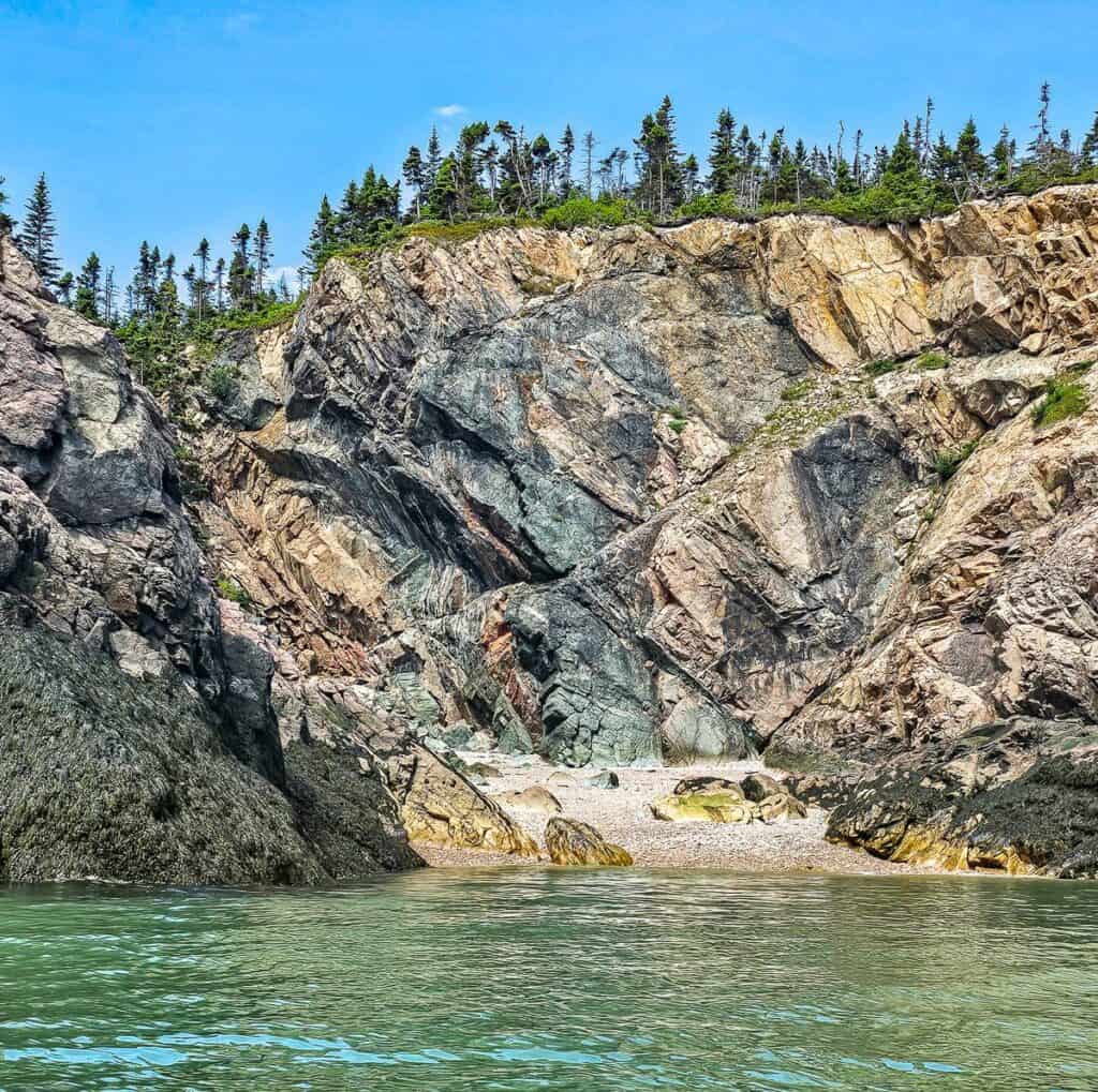 Weave through kelp beds close to the Bay of Fundy coastline