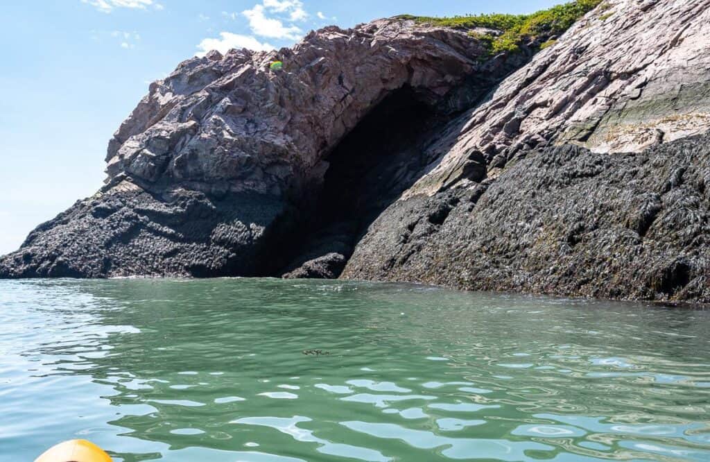 This big cave we saw kayaking from Chance Harbour to Black Beach was inaccessible at low tide