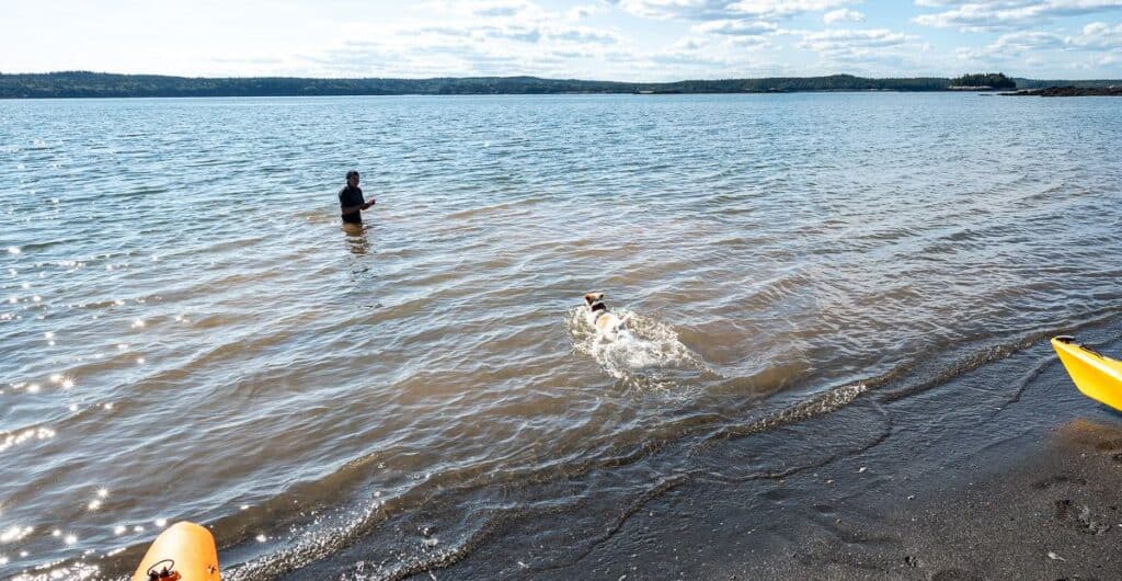 If you kayak to Black Beach in the summer, you will be able to enjoy a dip in the Bay of Fundy