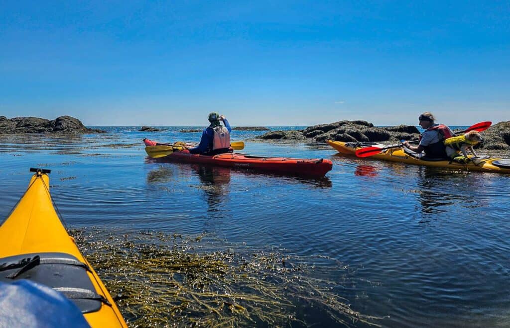 Fabulous kayaking on the Bay of Fundy with In Step Adventures