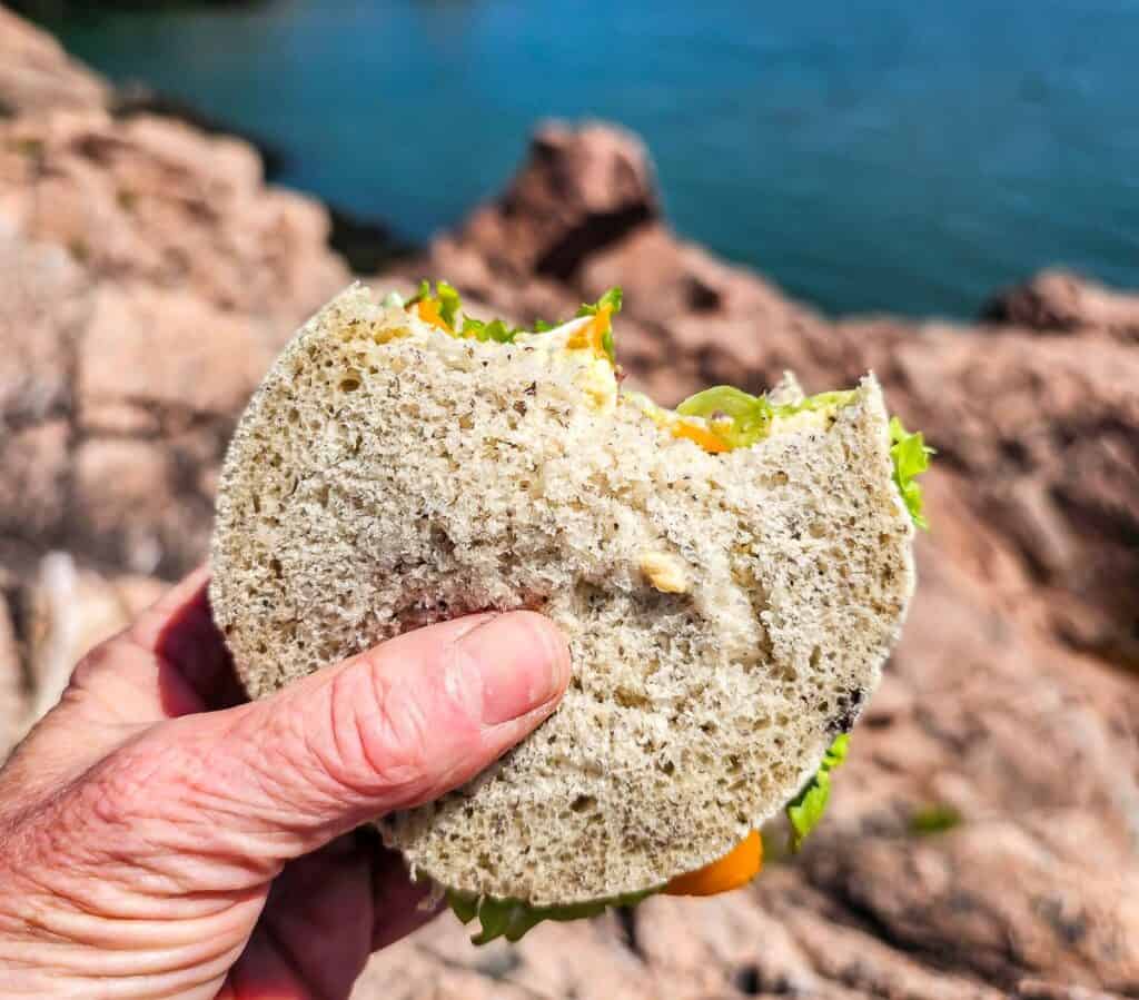 Homemade bread with finely ground dulse along with hummus and roasted vegetables
