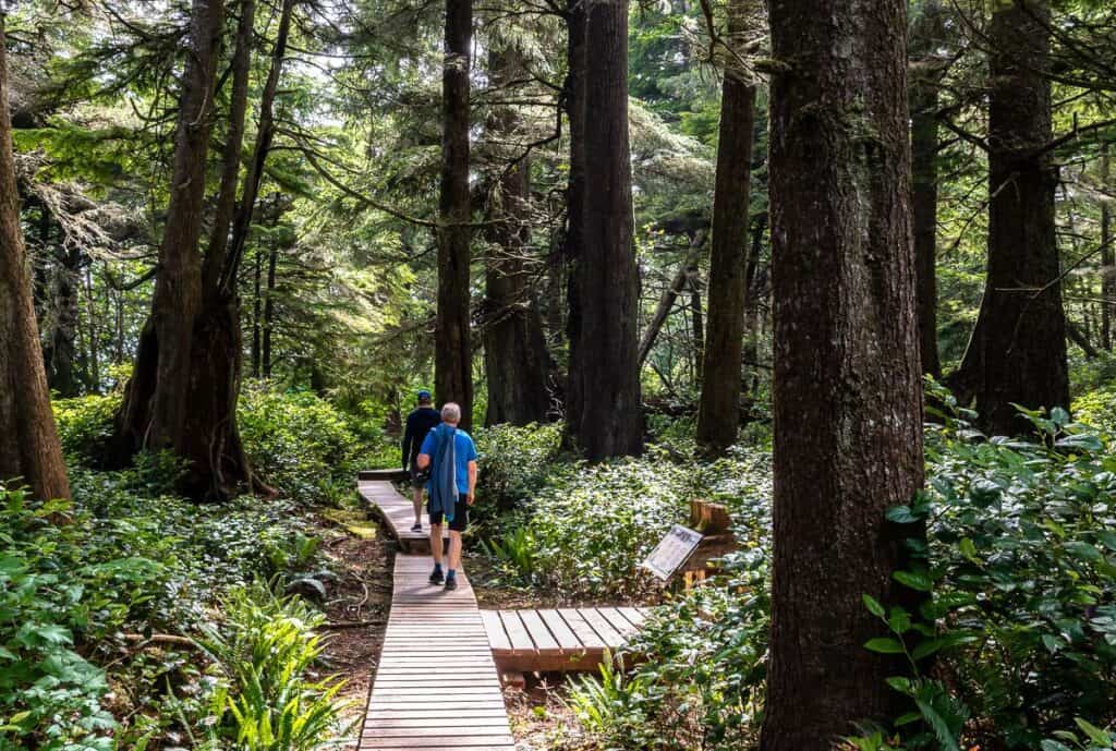 10 BEST Tofino Hikes | Hike Bike Travel A lovely, easy section of boardwalk hiking on the Nuu-Chah-Nulth trail