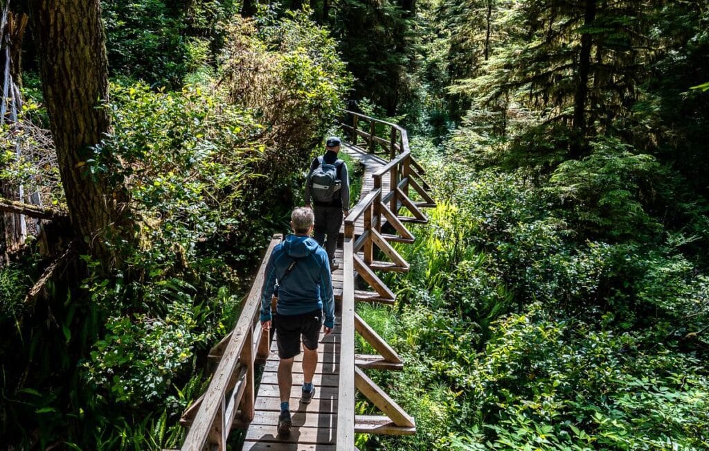 10 BEST Tofino Hikes | Hike Bike Travel Easy hiking on well designed boardwalks